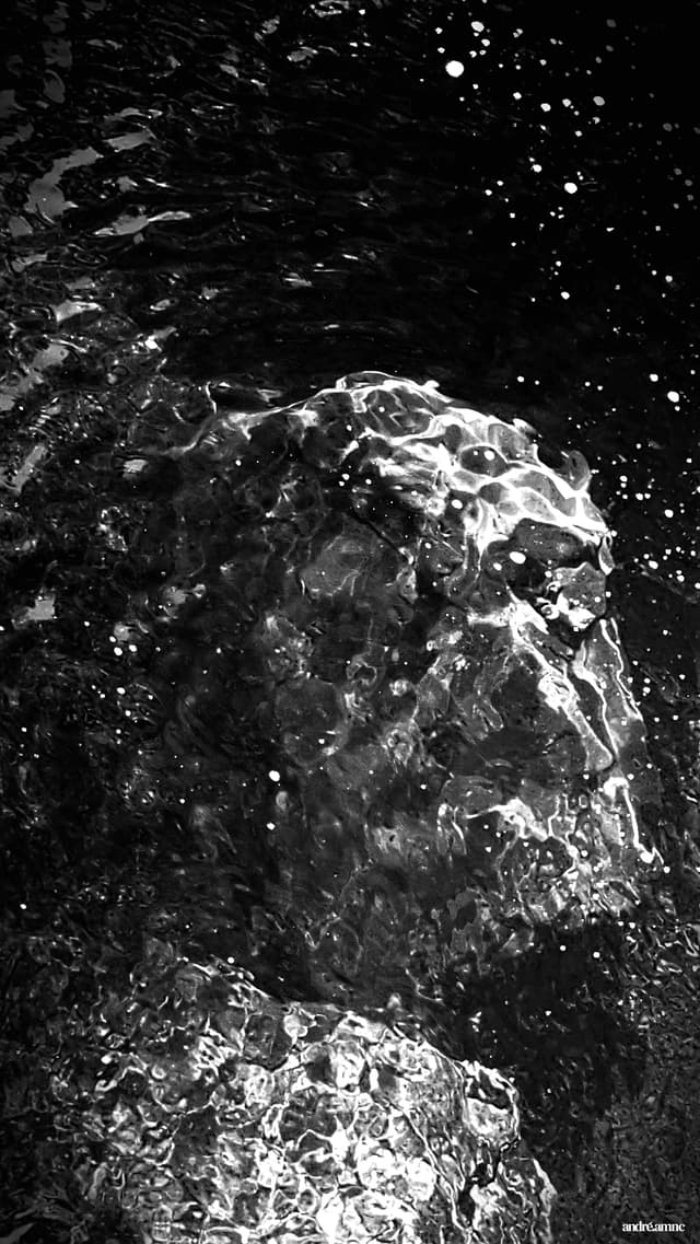 Mountain landscape with fog