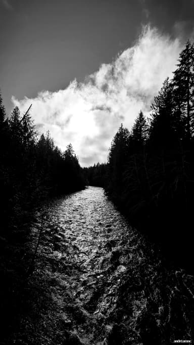 Forest path in autumn
