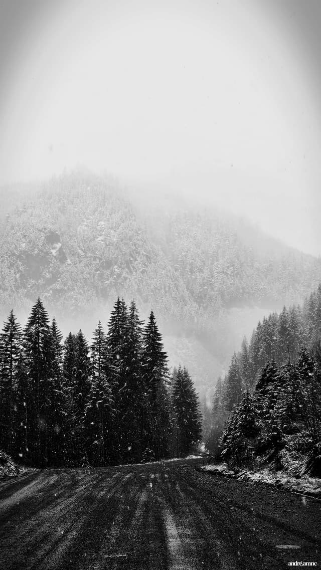 Watercolor flowers in bright colors